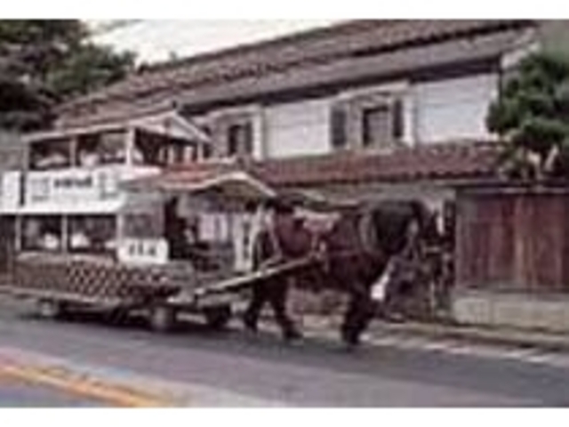 のんびり、ゆったり市内観光するには最適_観光蔵馬車
