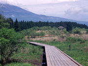 小田貫湿原の写真1