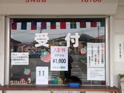 伊豆長岡いちご狩りセンターの写真2