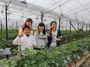観光農園花ひろばの写真2