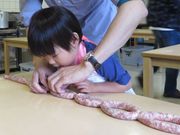 手づくり工房 山遊里の写真4