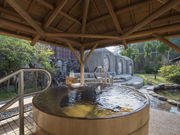 伊賀の国 大山田温泉 さるびのの写真2