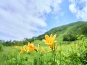 谷川岳ヨッホ by 星野リゾートの写真4