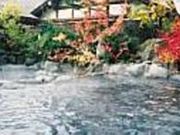 白根温泉 薬師之湯の写真1