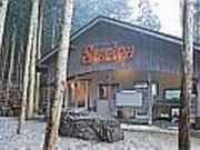 ステリーナの写真2