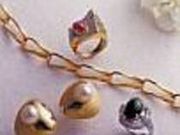 Fujimori Tokyoの写真1