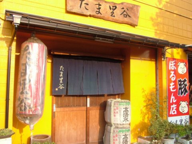 たま里谷の写真1