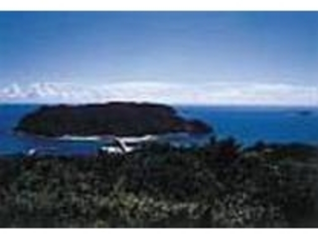 対岸の慶留間島を眺め静かなひとときを_中岳展望台