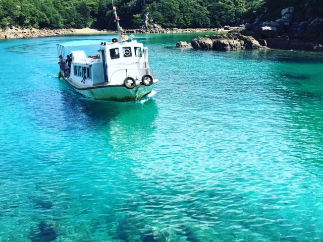 海に浮かぶグラスボート_竜串グラスボート