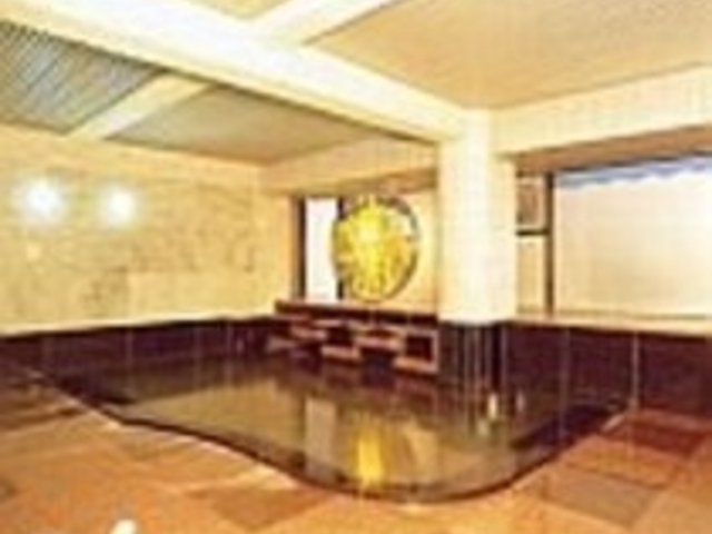 天然温泉100%の大浴場_ペットと泊まれる宿 だいこく館
