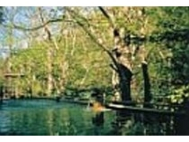混浴の野天風呂は24時間入浴可。ご家族、お友達で_ムササビの訪れる宿 つるや旅館
