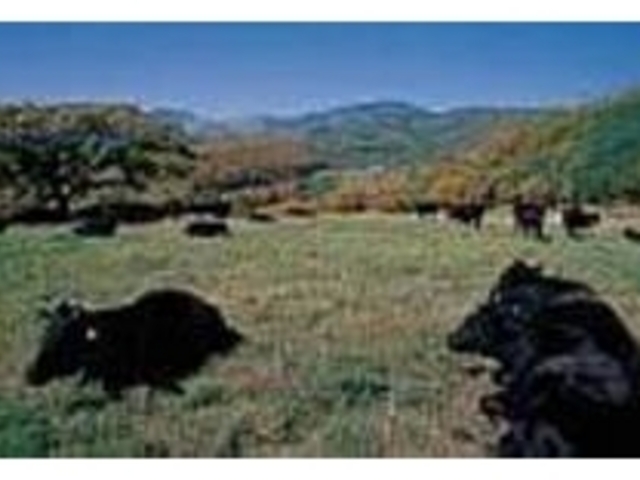 浅間や万座山、四阿山などが見渡せる_嬬恋牧場レストハウス