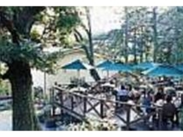 緑に囲まれたテラスは24席、店内は40席_ハーブテラス 大地の恵み