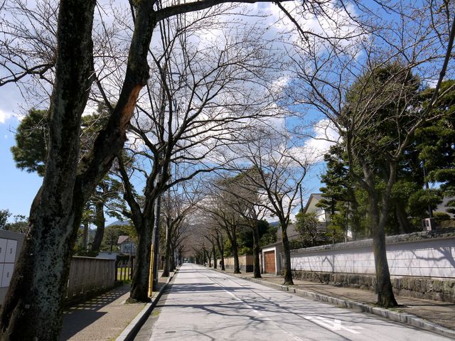 小田原城からほど近い、情緒あふれる通り_西海子小路