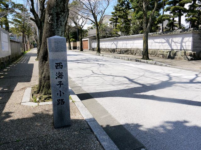 生い茂る木々が四季の彩りを添える_西海子小路