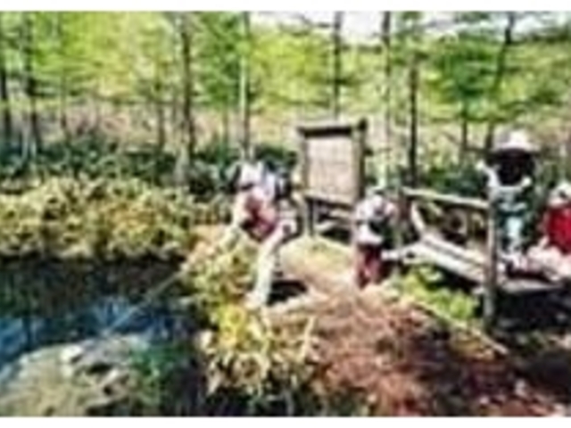 多彩なプログラムでアウトドア体験を満喫!_ウェザーフレンド自然学校