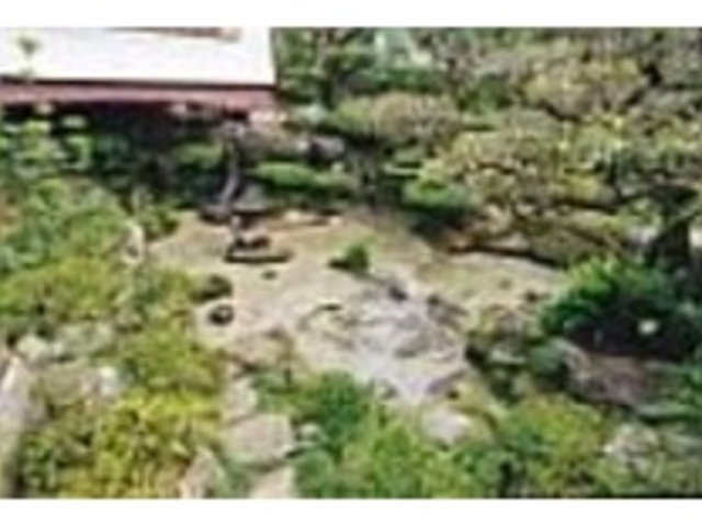 山々の豊かな緑に癒される古湯温泉の起源となる宿_鶴の恩返し よみがえりの宿 鶴霊泉