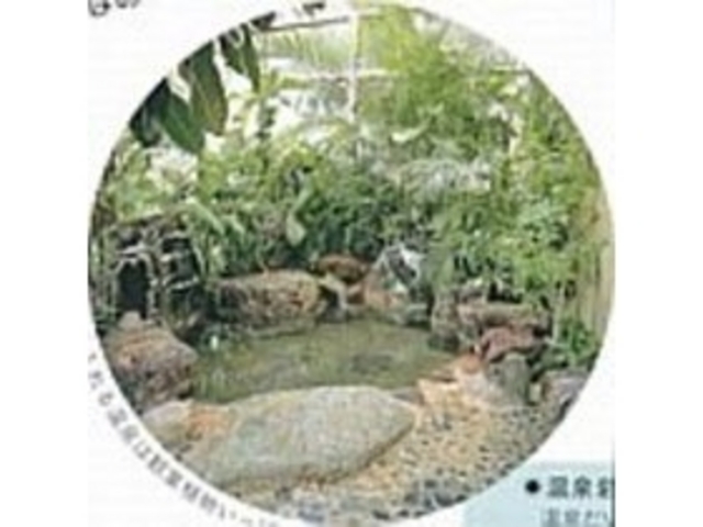 南国ムード溢れる天然温泉のジャングル風呂は24h入浴可_ペンション弓ヶ浜