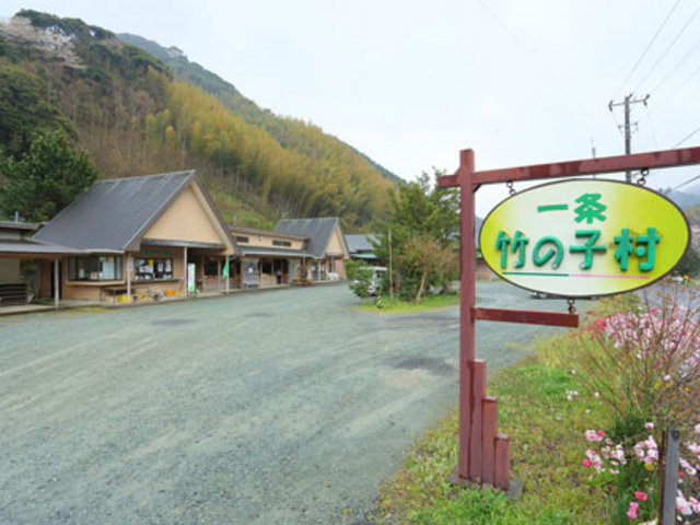 駐車場入口4月タケノコ・5月甘夏、ニューサマーオレンジ9月〜栗拾いも_一条竹の子村