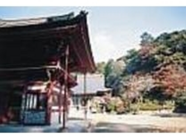 周囲を森が包み込み、静寂がただよっている_龍福寺