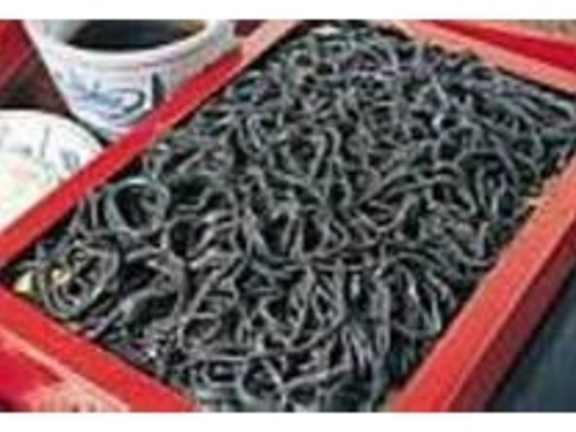 赤色のせいろに黒〜いそばがよく映える_小堀屋本店