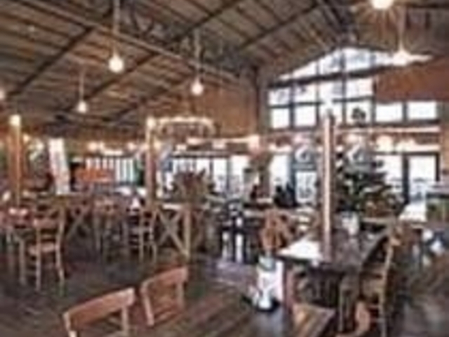 函館名物のイカを使った料理も豊富_はこだて海鮮倶楽部