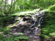 湯の丸高原所沢川の渓流の写真2