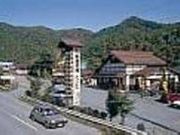 こんこんぞうりの写真2