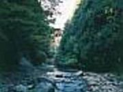 面白山高原の写真2