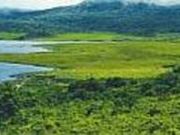 ウェザーフレンド自然学校の写真2