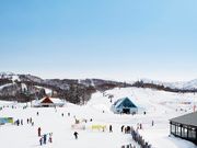 キロロリゾート の写真2