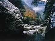大杉谷の写真2