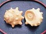 清月堂駅前店の写真1