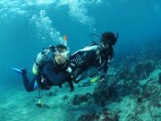 八幡野ダイビングセンターの写真2
