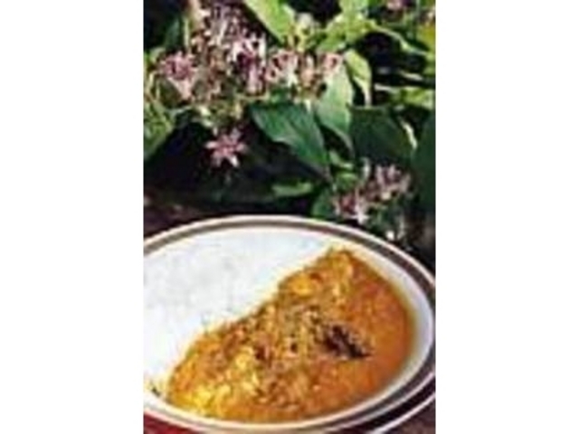 インド風の風味のカレーがやっぱりおすすめ_園林