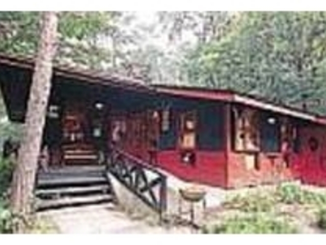 森の中にたたずむ可愛らしい建物が目印だ_えほん村