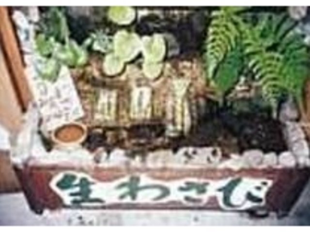 とれたてのわさびは風味も味も満点!_わさびのねこや