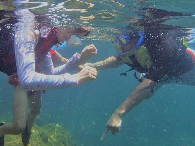 夏や秋はシュノーケル〜♪持って来てね!_弓ヶ浜カヌースクール