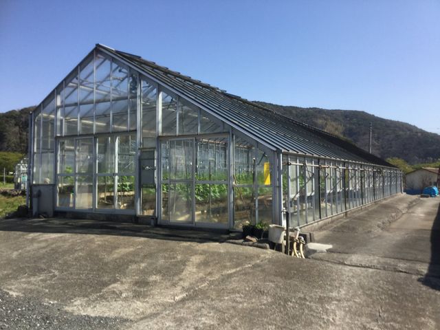 さとう温泉メロン