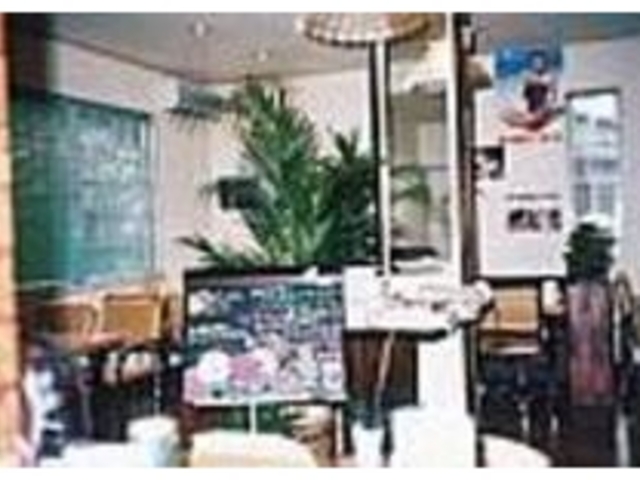 観葉植物をあちこちに配した明るい店内_coffee shop グリーンハウス