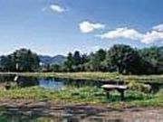 忍野フィッシングエリアの写真4