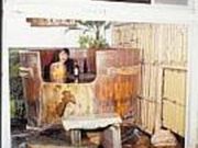 平野屋の写真1