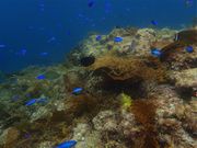 弓ヶ浜カヌースクールの写真4