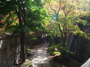 大丸あすなろ荘の写真2