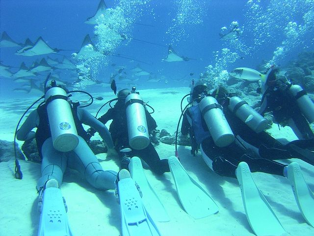 DIVERS' Space Marine Blue(マリンブルー)