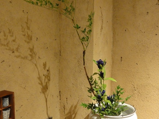 華道香山流茶花教室