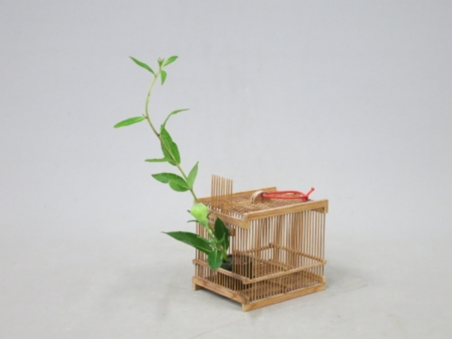 華道香山流茶花教室