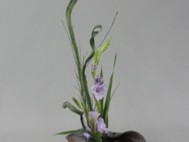 華道香山流茶花教室