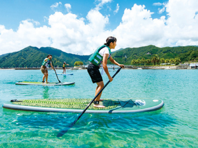 SUP CRUISING(=゚ω゚)ノ_大紀町地域活性化協議会