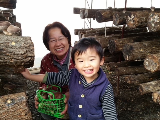 大人からお子様まで楽しめます!_梅ヶ島 天空ファーム